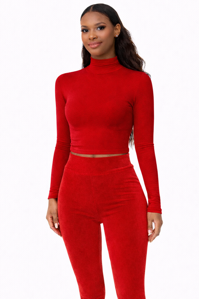 Essential Long Sleeve Turtleneck Crop Top